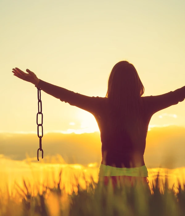 rear-view-silhouette-woman-field-against-sky-sunset-page